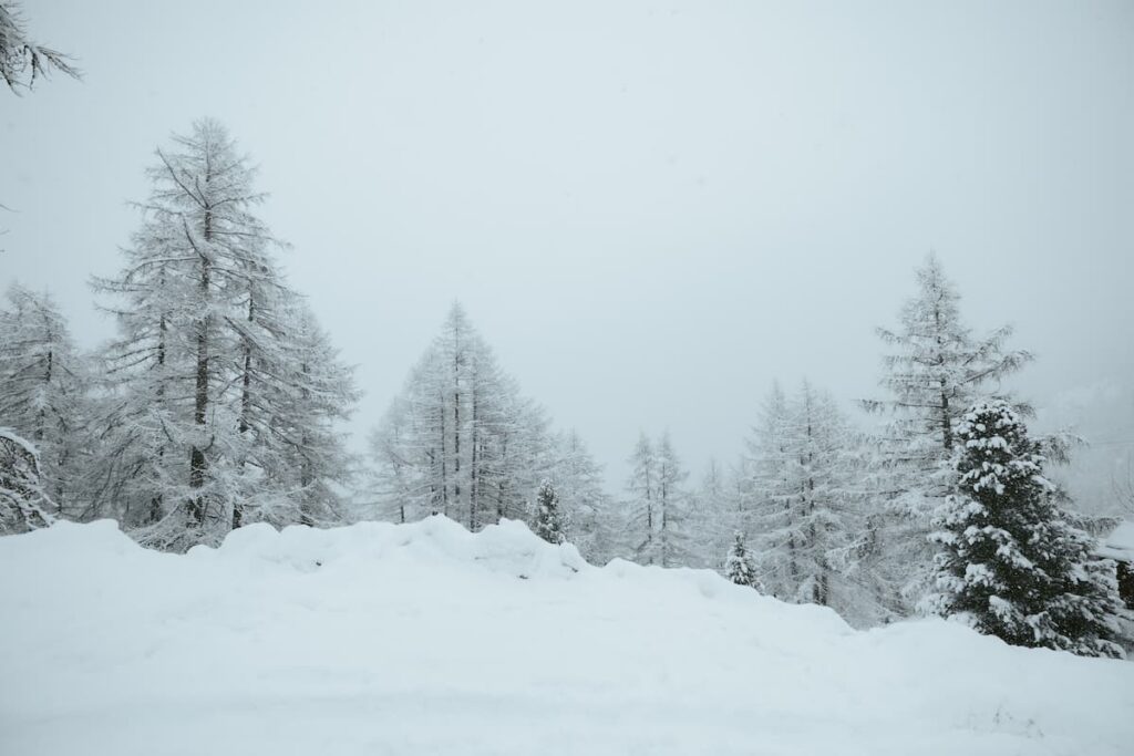 Winter landscape with snow-covered pine trees in Zermatt